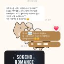 속초로망스애견동반펜션 이미지