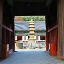 명당축산 Daum카페
