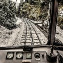 춘천남이섬애견가족전원마을펜션 | 경기도애견동반펜션 춘천 남이섬 애견 가족 전원마을 펜션 근교여행