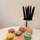 미스터컵 이미지