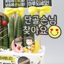 노래연습장 노래방 커스텀 개업화분 이색선물 필요하신분 컴온!