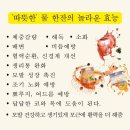 방영학 이미지
