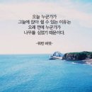 풀향 이미지