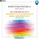 무지개나라 이미지
