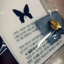 광영여고 교내 이미지