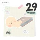 통기타교실 | 임신기록, 26~29주차 삼성미즈 임당검사 입체초음파 태동 임산부 치유교실 봄달블랭킷