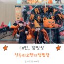 태안 키즈캠핑장 신두리오렌지캠핑장 방문 후기
