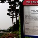 정발산공원 화장실-1 티스토리