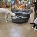 가가동물원 이미지