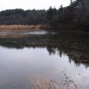 지북마을회관 앞 이미지