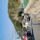 황령산 벚꽃약수터 이미지