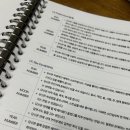 [4/19] 취미 타로(초급) | 마이라이트 타로 상담가 데뷔 학습지 4주차 6일 - 마지막