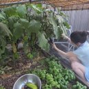 유기농라이프 이미지