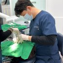 목동세란치과의원 | 목동 사랑니, 발치 받을 치과를 선택하는 2가지 기준