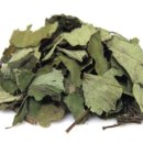 삼백초한의원 이미지