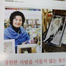 플로리플라워 이미지
