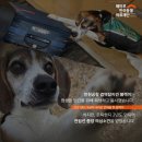 해마루 축산 이미지