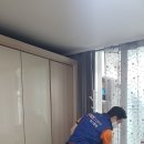 에이스방역