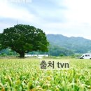 동석상회 이미지