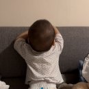 헤어오브네이처 이미지