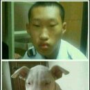 끼리끼리 이미지