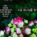 PICTURE&TEXT_20230604_이사야 55장 6절_지금 하나님을 찾으라_삼위일체주일 묵상_수국_꽃말 '진심, 변덕'_우리 교회 이미지