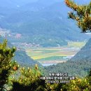 대강초등학교 이미지