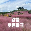 하평농장 | 강릉 가볼만한 곳 호린파크 핑크뮬리 10월 가을여행
