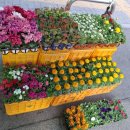 능동농장 이미지