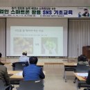 스마트폰 활용(기초에서 활용까지) 이미지
