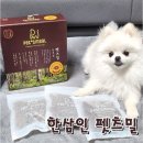 펫츠밀 이미지