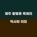 오후애월 이미지