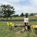 지율목장 이미지