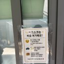 서초 식물원김밥 서초본점 &amp; 콰이어커피 GOGO