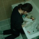 현우봉투