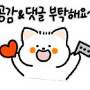 더조이공인중개사사무소 이미지
