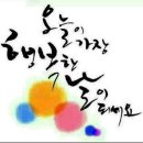 참맛 이미지