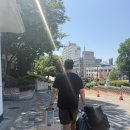 인천 시드니 아시아나 탑승후기 기내식 ETA비자 입국심사서 의약품리스트
