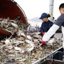 자동음성통보시설 이미지