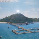 죽도해상낚시터 이미지