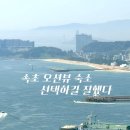266호텔 | 속초 아이파크스위트 호텔 앤 리조트 후기｜동명항 도보 가능한 오션뷰 숙소