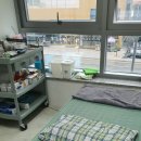 양주평화의원 이미지