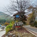 🏞️ 유명산 등산 후기