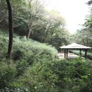 동방건축사 | 지리산다행 구례 화엄사·구층암 죽로야생차, 하동 정금차밭·한밭제다 다담인다실, 산청 문수암 발효차...