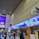 FIT NOMAD | 2026 서울리빙디자인페어 속 플래지어(Flasier) 부스 방문기