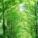 새아침공원 이미지