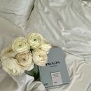 니가사준꼬치 | 26' June 올해도 벌써 반이 지나갔대요