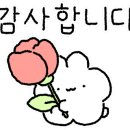안녕리 만두전골 이미지