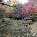 안국365약국 | 도심에서 느끼는 고궁의 가을 경치