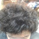 산뜻하개 이미지